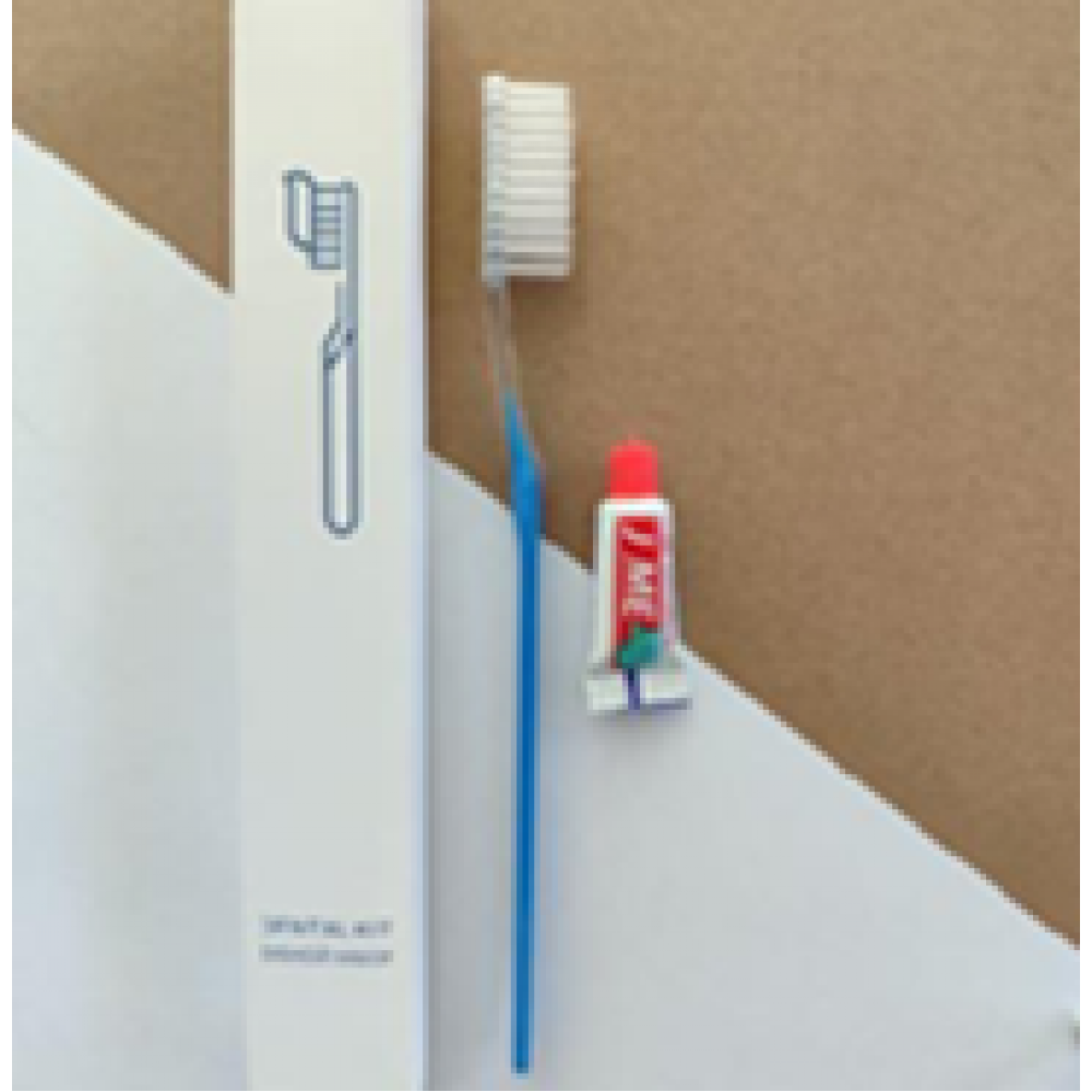 Зубной набор Premium series, в бумажной коробке 6гр Hotel Expert